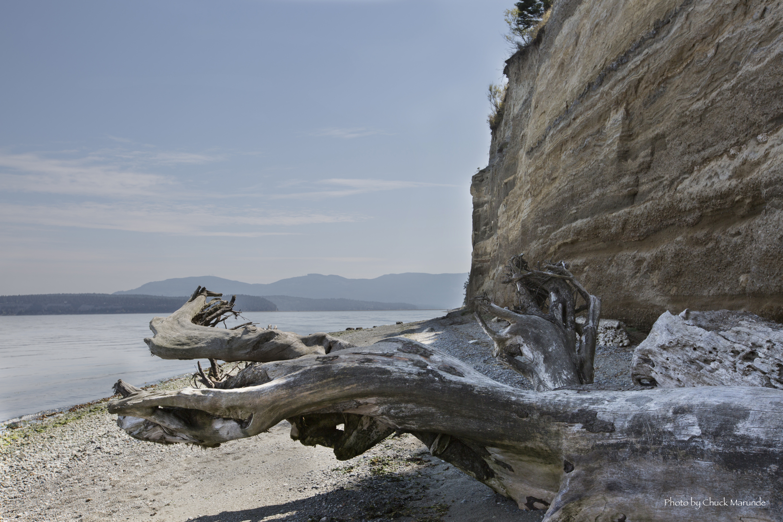 Sequim Weather is Sunny and Beautiful . . . Again Homes and Land in